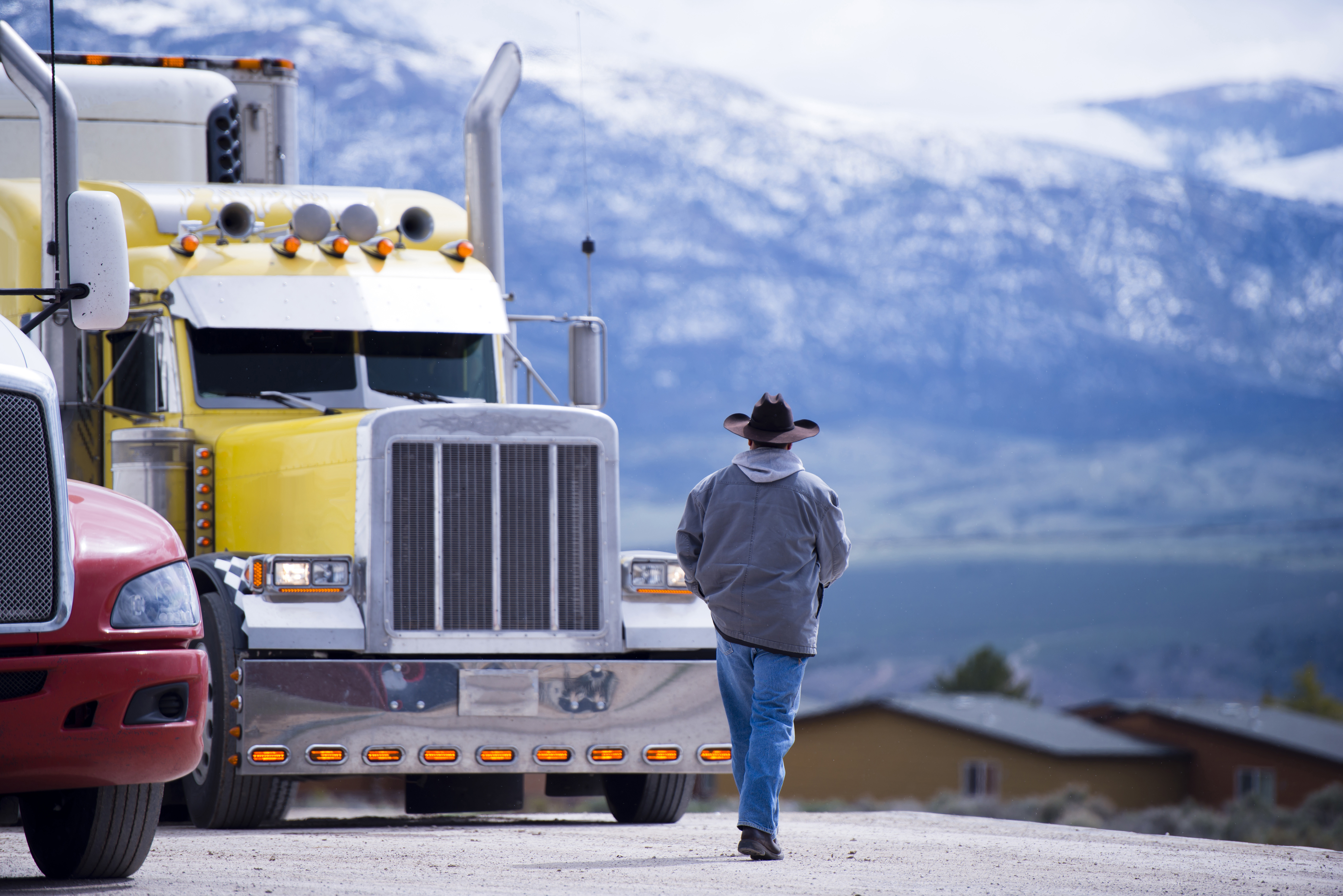 The truck driver goes to his bright yellow attractive impressive customized big rig semi truck parked in the parking lot on a picturesque backdrop of snow-capped mountain ranges.