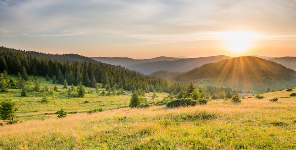 Panorama of sunset in the mountains with forest, green grass and big shining sun on dramatic sky